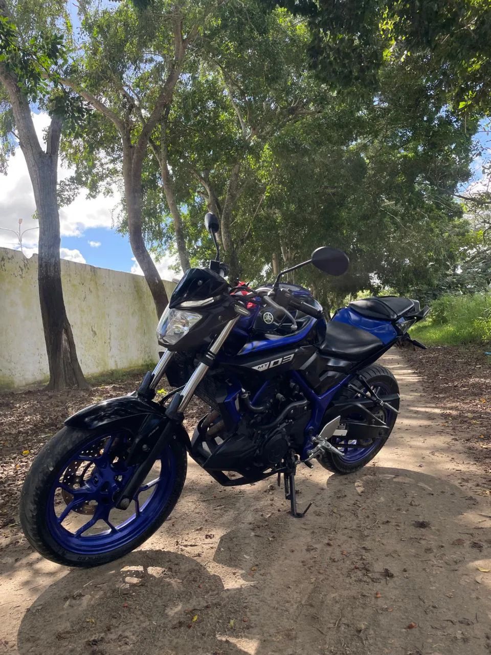 MT 03 2019