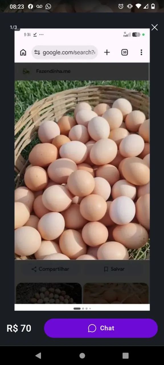 Vendo ovos caipira