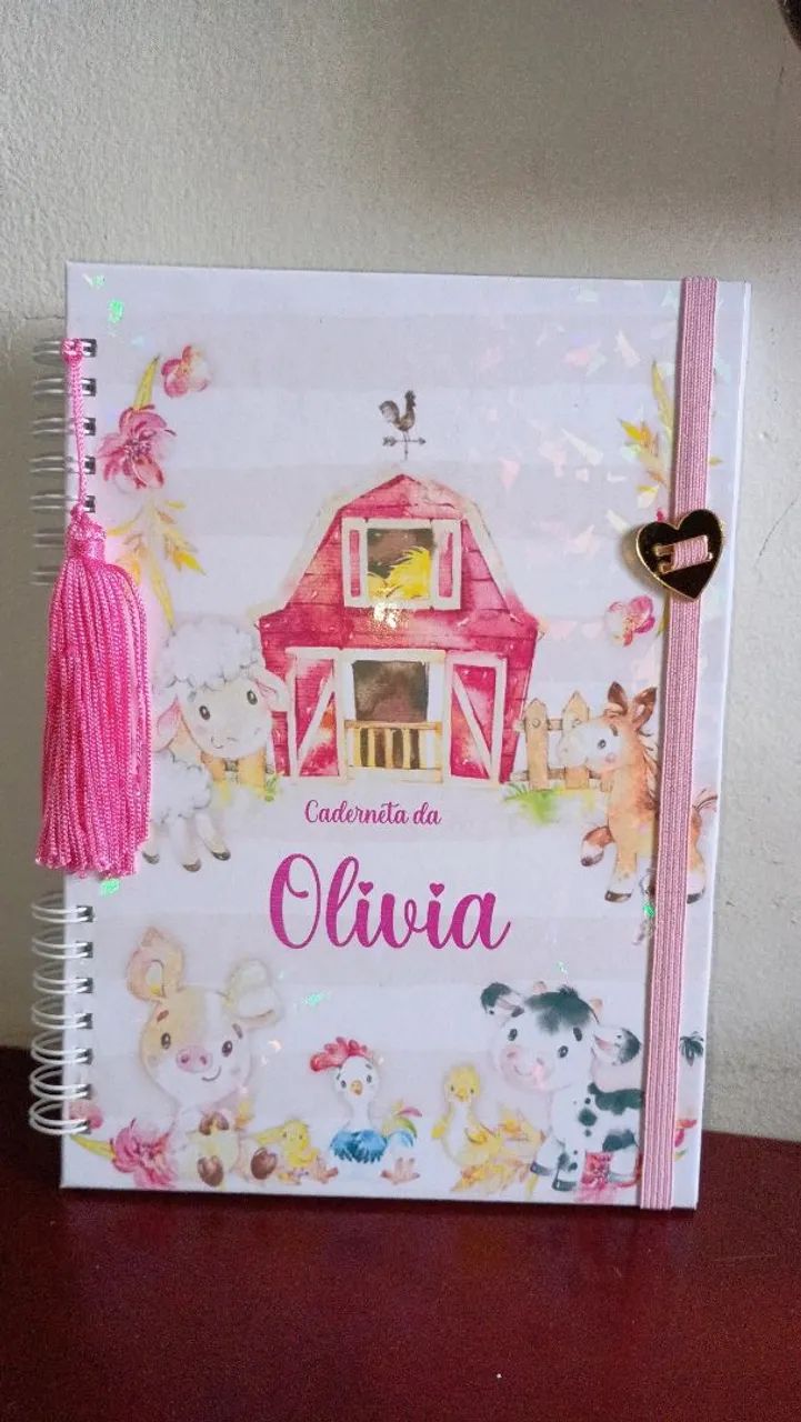 Caderneta saúde  - Foto 3