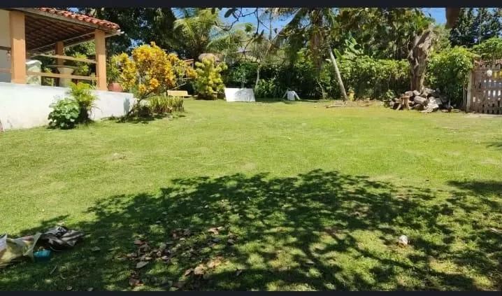 Limpeza  de Terrenos e Járdins * - Foto 3