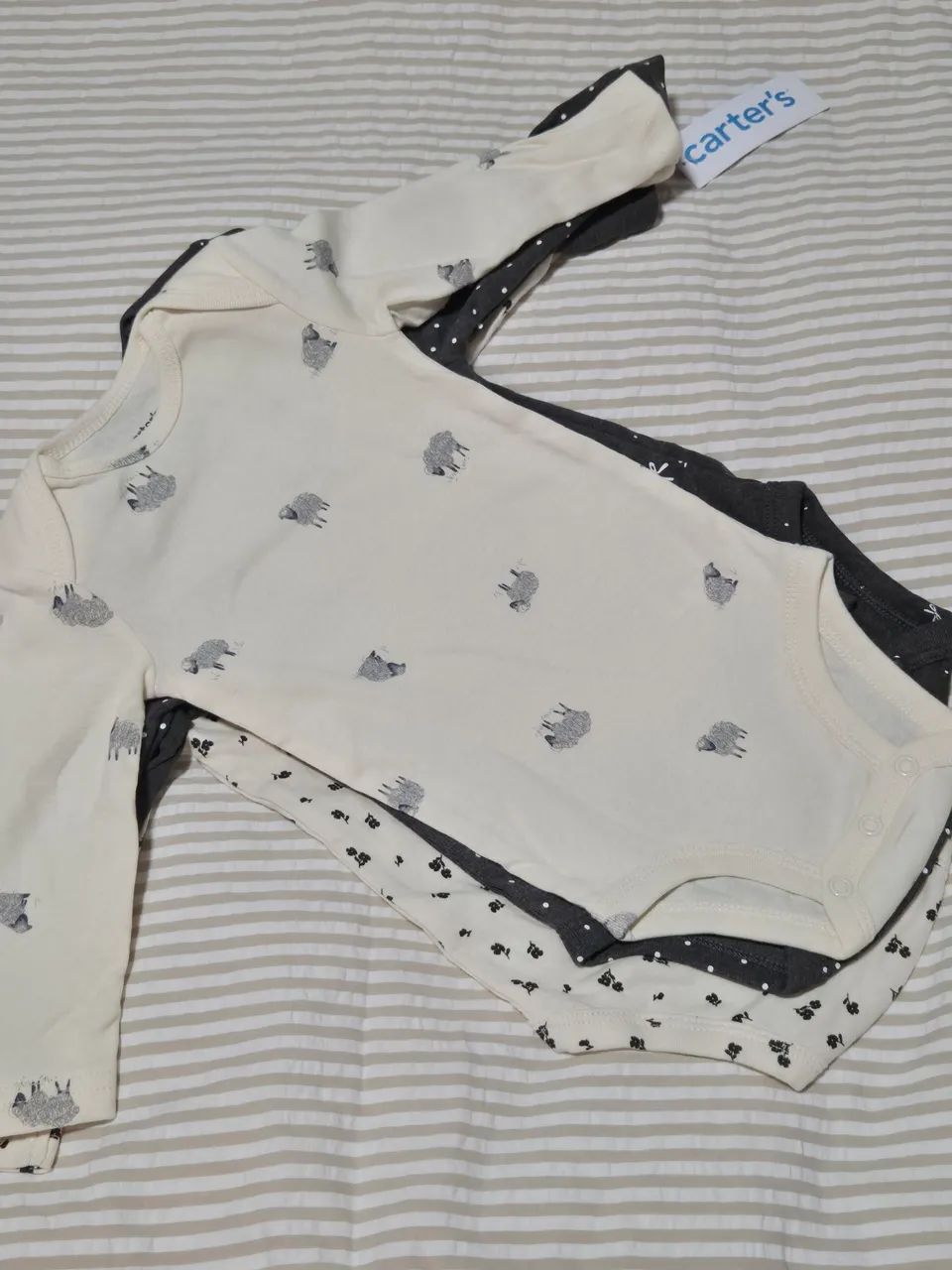 Body Carter's 6 meses manga longa