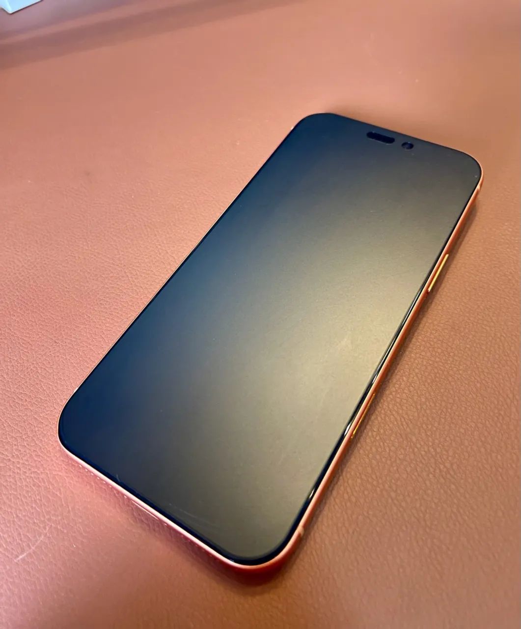 iPhone 17 Pro Max 256 GB - Garantia Apple - Foto 3