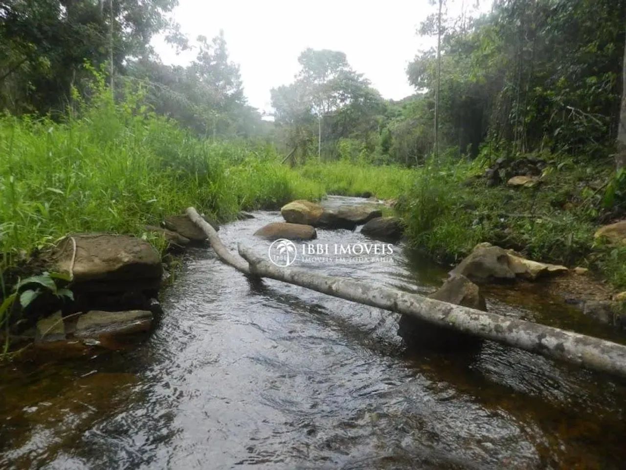 Ótimo Sitio à venda, 85.000 m², no Povoado de Tremembé - Maraú/BA - Foto 3