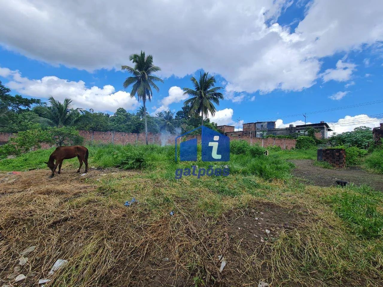Terreno com 800 m² às margens da BR 101 em Igarassu - PE - Foto 4