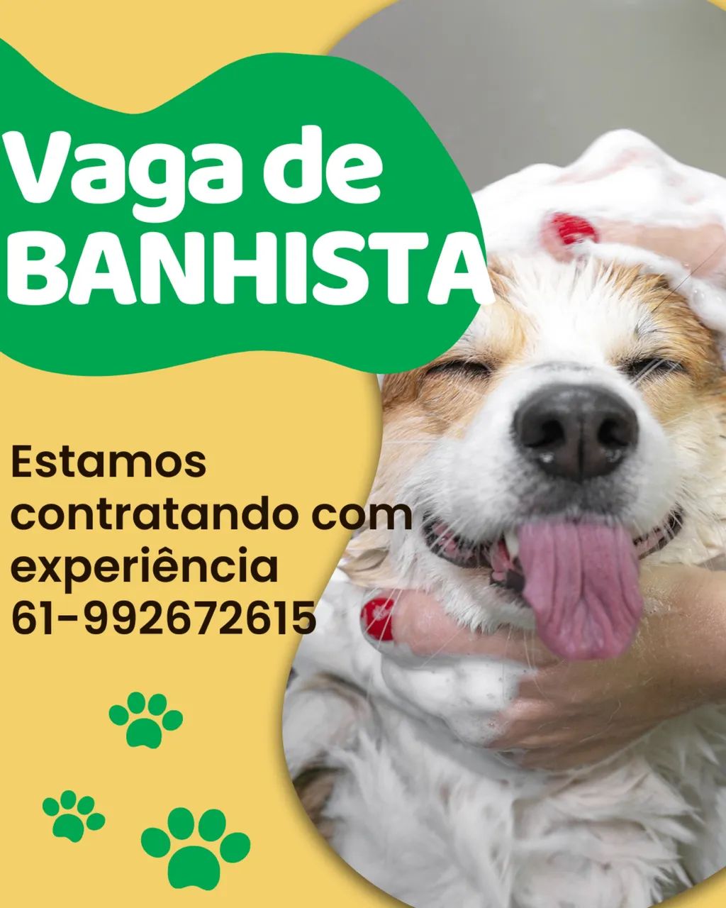Banhista auxiliar Veterinário