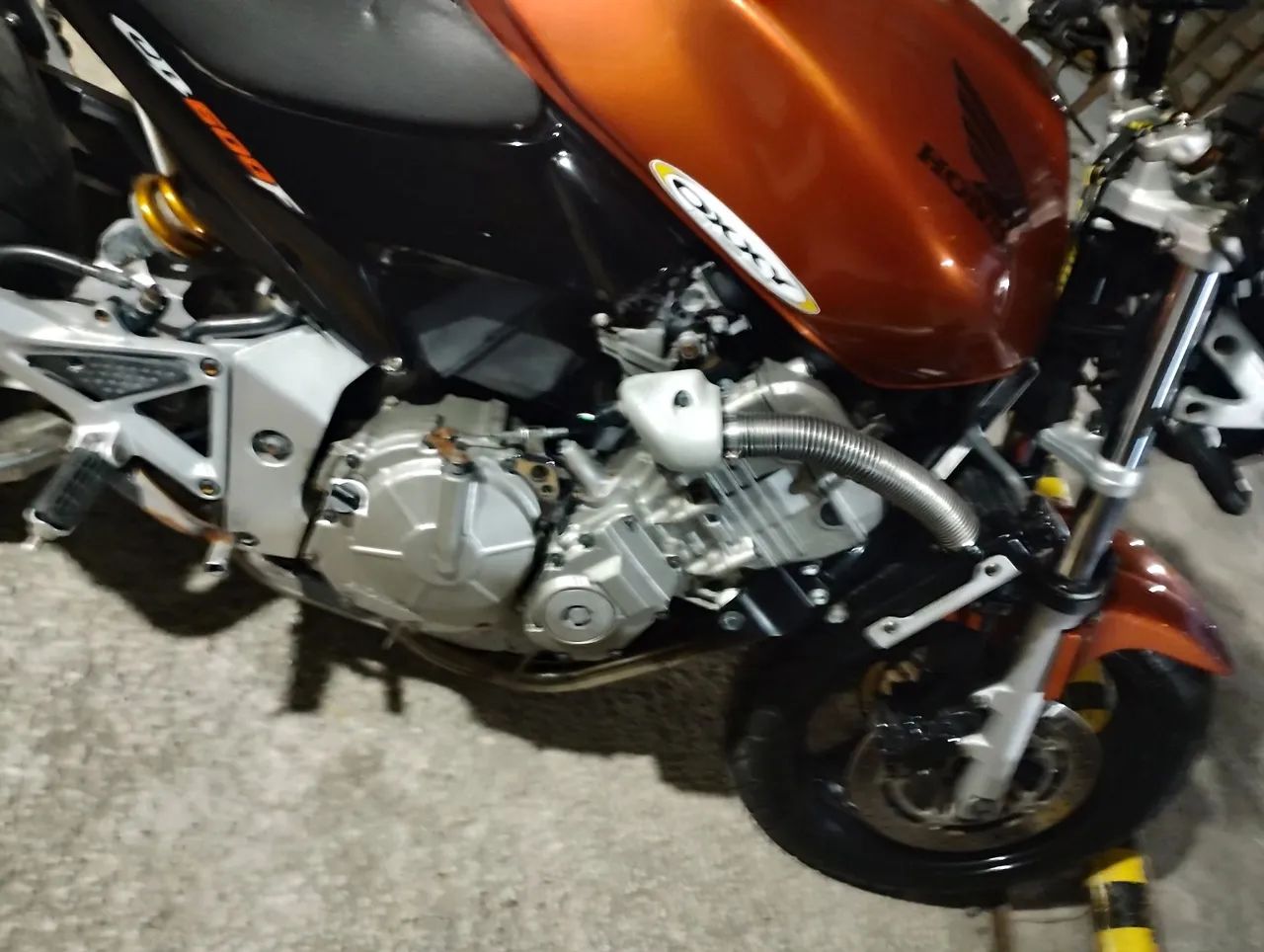 Hornet 2007 