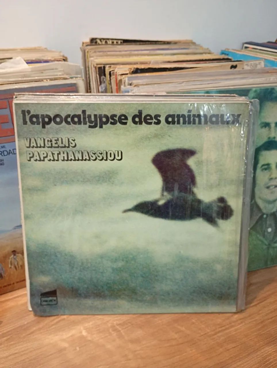 Vinil Discos  - Foto 4