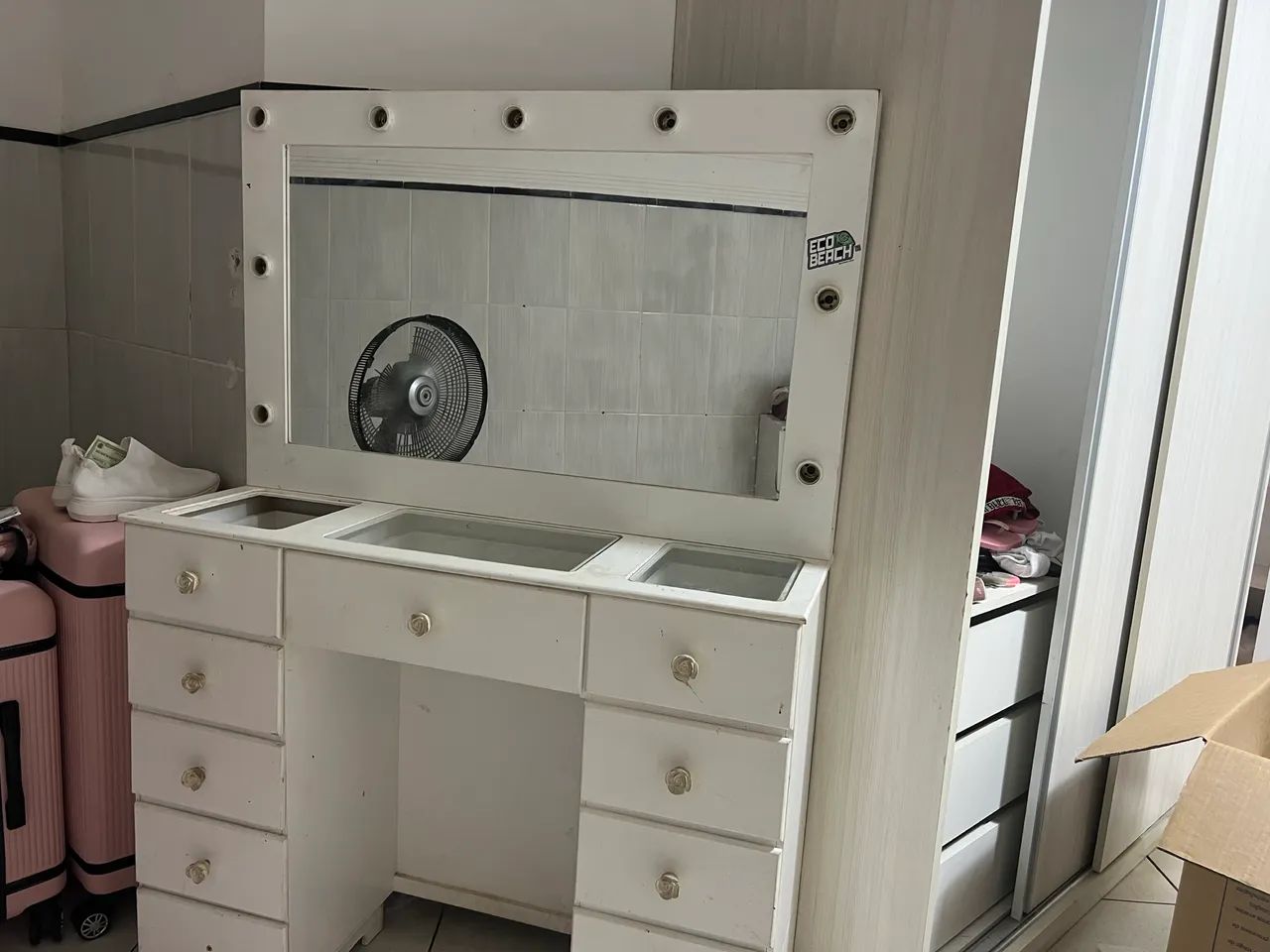 Pintiadeira com lede 