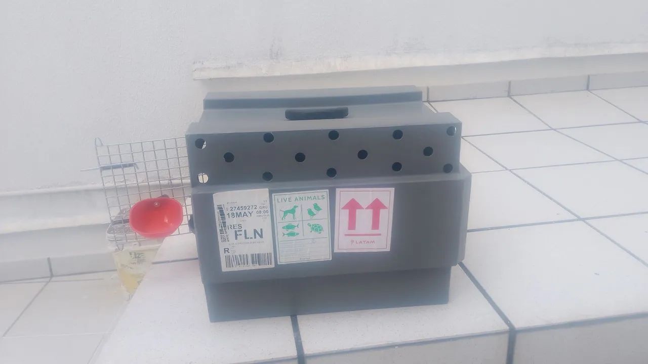 Caixa de transporte para pet - Foto 4