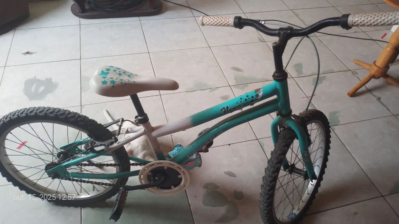 Bicicleta  - Foto 2