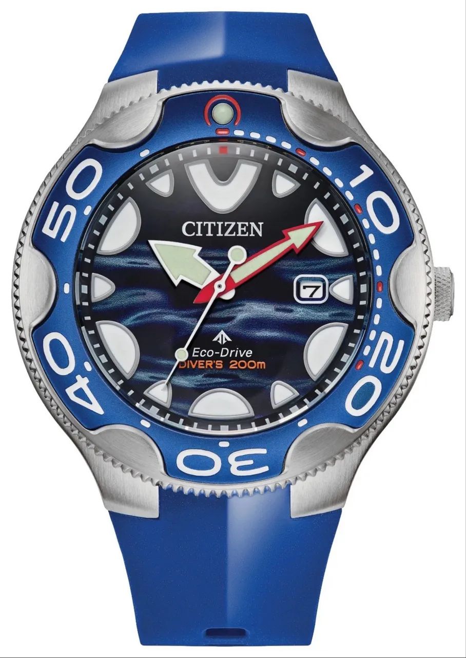 Citizen Orca aqualand 