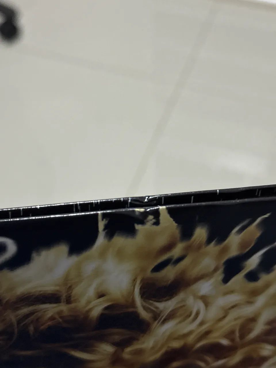 Vinil Taylor Swift Fearless platinum edition - Foto 3