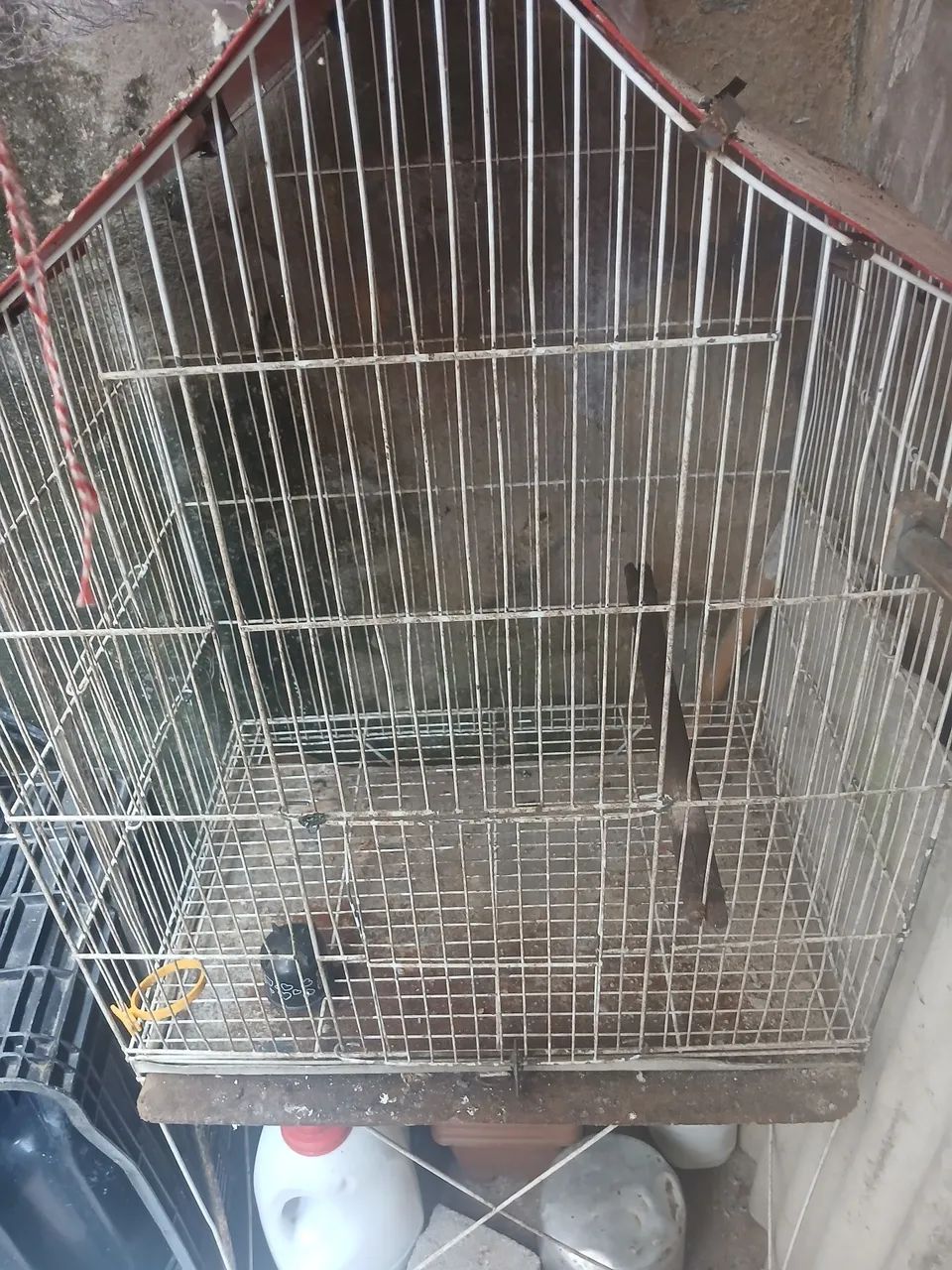 Gaiola pra passarinhos 