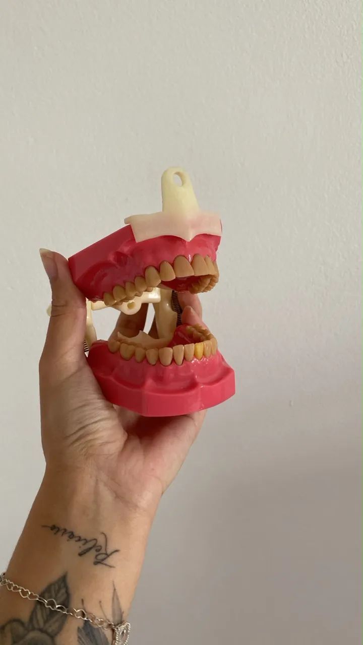 Manequim odontológico  - Foto 2