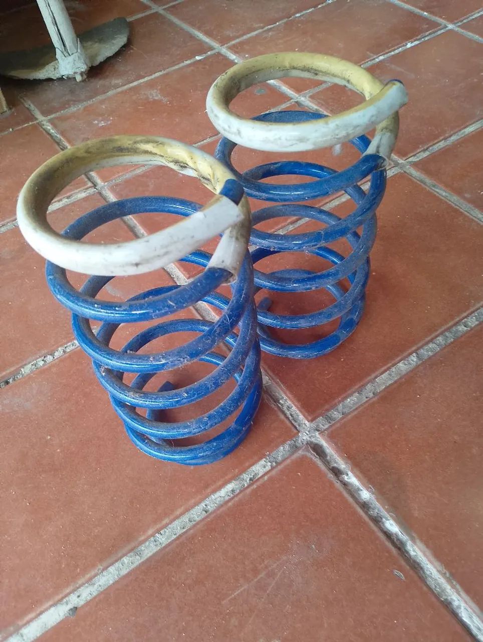 Molas esportiva 