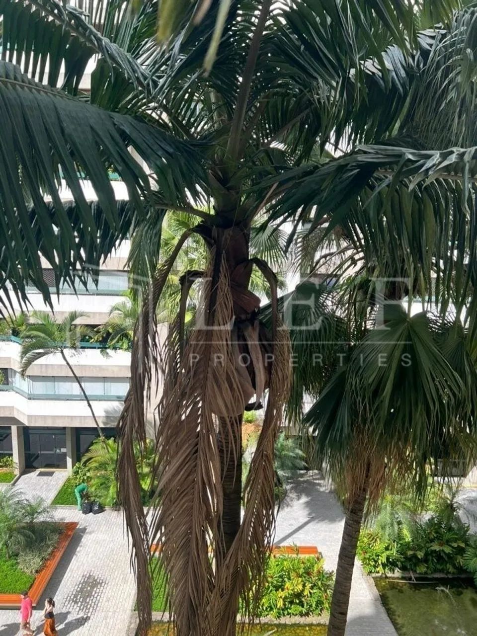 Apartamento Vila Uberabinha Diferenciado - Foto 5