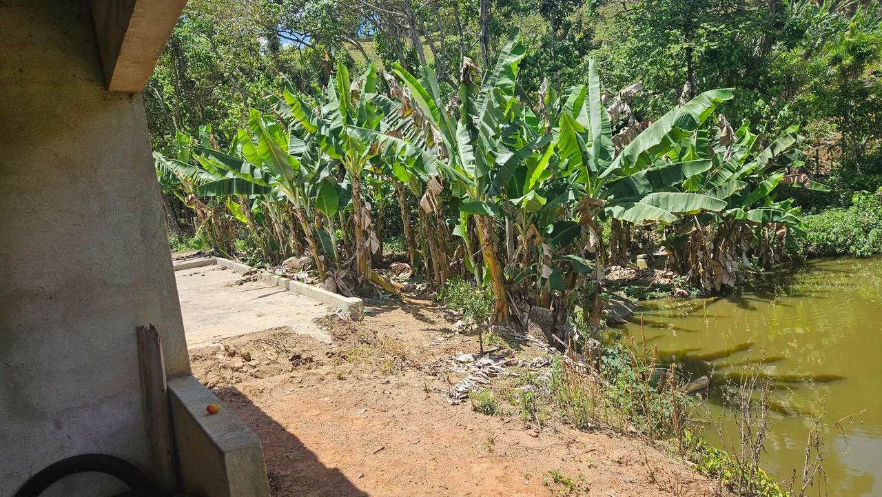 Terreno em cruz verá  - Foto 2