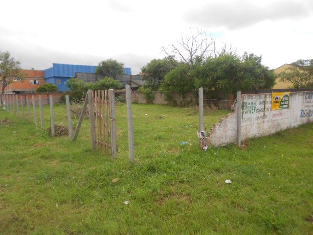 Terreno para alugar em Emiliano perneta, Pinhais cod:42018 - Foto 3
