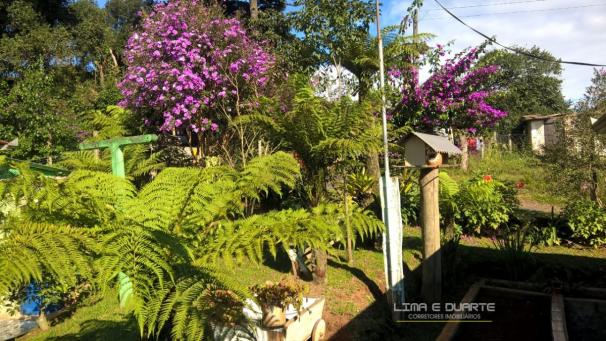 Casa, Centenário, São Bento do Sul-SC - Foto 7