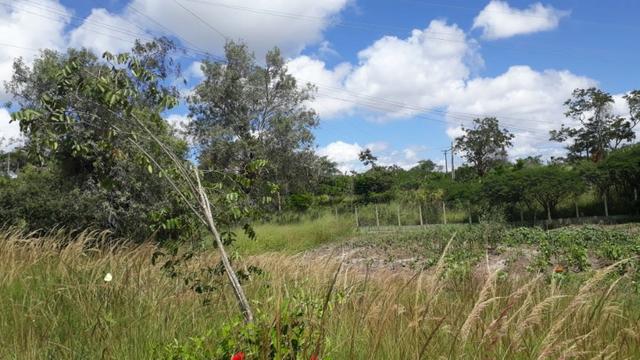 Área na BR em Gravatá/PE, com 05 hectares - REF. 131 - Foto 20