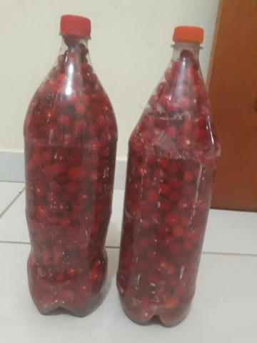 Pimentas - Foto 2