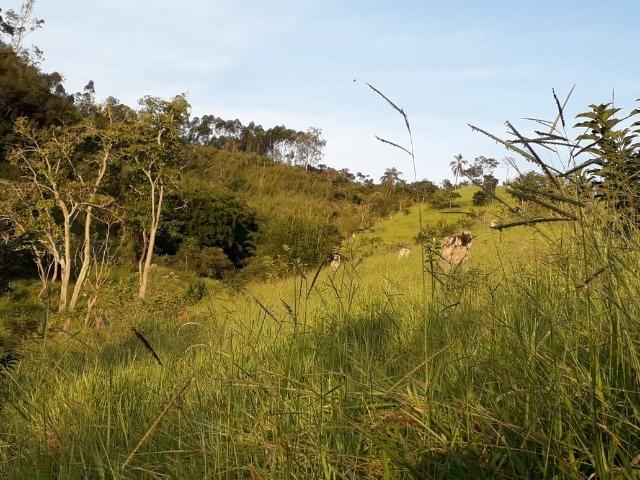 Área Santa Bárbara - Foto 11