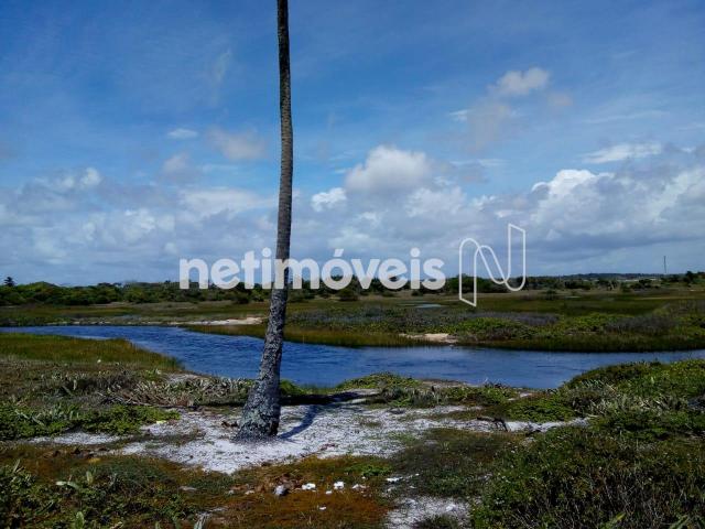 Terreno à venda em Arembepe (abrantes), Camaçari cod:757028 - Foto 3