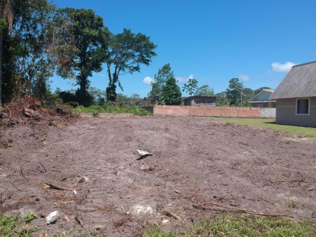 Terreno à venda, 300 m² por r$ 43.000,00 - brandalize - itapoá/sc - Foto 14