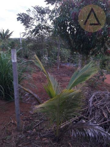 Terreno à venda, 870 m² por r$ 150.000 - quilombo - cantagalo/rj - Foto 7