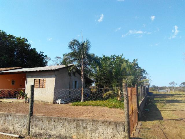 Vendo sítio - Foto 4