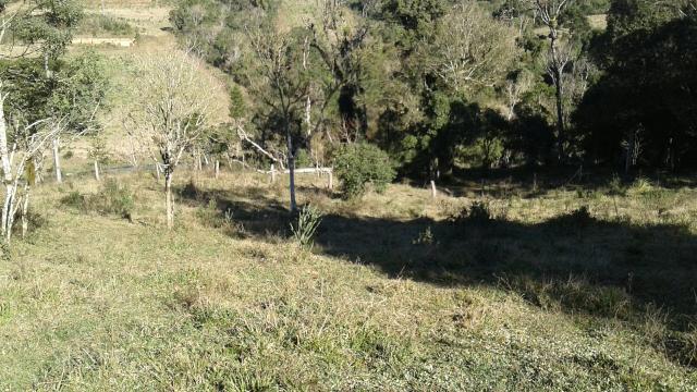 Chac 20.000m2 em Sjp na Col. Murici, troca imoveis, carro ou casa na praia - Foto 5