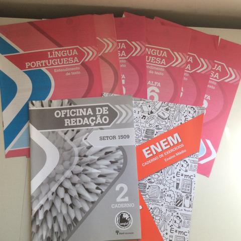 Material Anglo Alfa Rosa + Didáticos - Foto 5