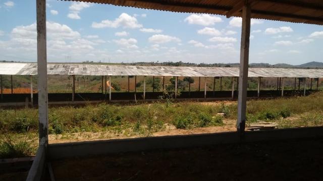 Ótima propriedade com 2 aviários em Chã de Alegria - Foto 10