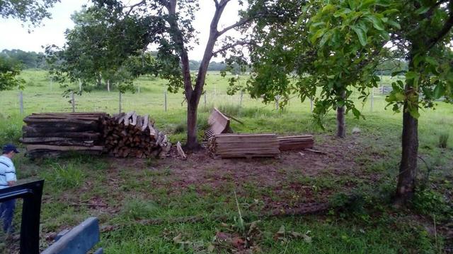 Fazenda de pecuária - Foto 18