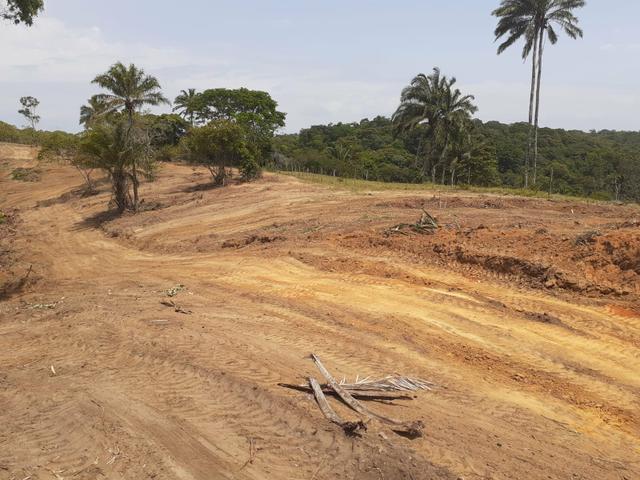 Lotes com IPTU e pagamento facilitado na Ilha - Foto 4