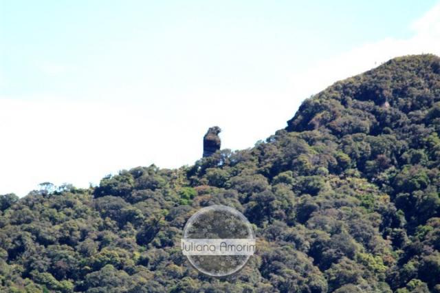 Seu sitio em Bom Retiro na Serra Catarinense - Foto 9