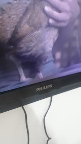 TV Philips LED 43"- não é smartv - Foto 3