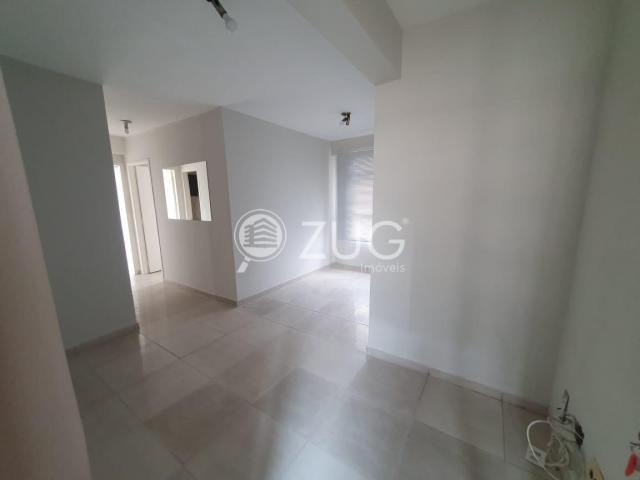 Loja comercial para alugar em Bosque, Campinas cod:SA002626 - Foto 6