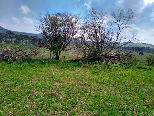 Sítio Terreno - Foto 20