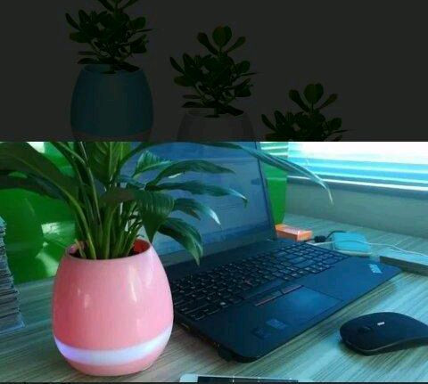 Vaso de plantas Bluetooth