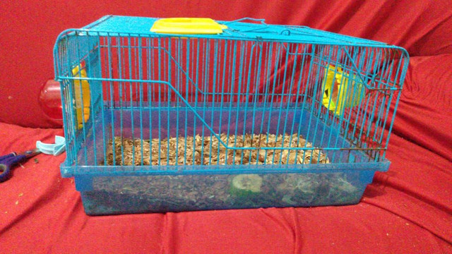 Vende-se gaiolas para hamster - Foto 5