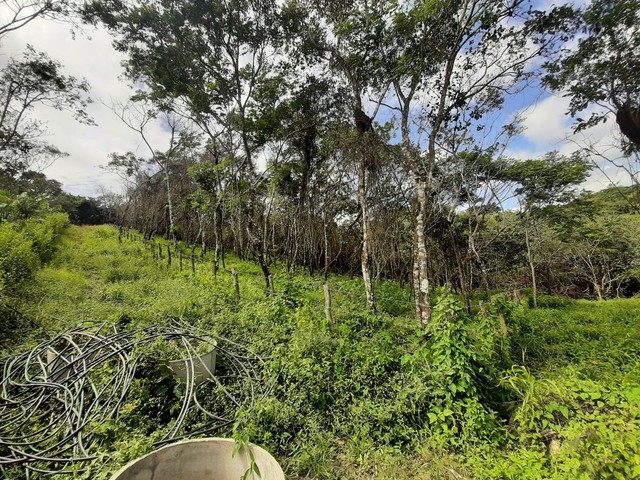 LOTES ENTRE MULUNGU E GUARAMIRANGA 