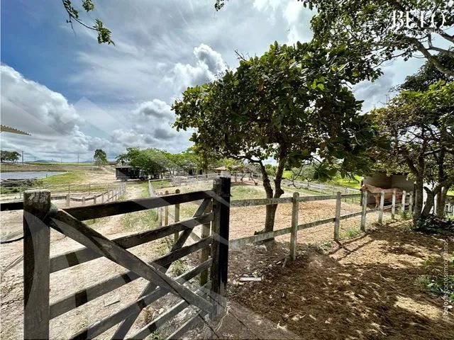 Para manter a boa forma, peões malham em A Fazenda 5 - Fotos - A Fazenda 5