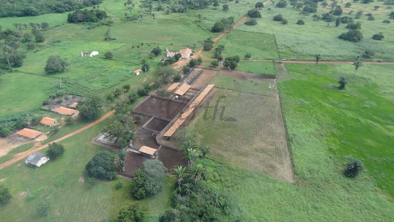 Fazenda com 176.000 Hectares à Venda em Aroazes, Piauí