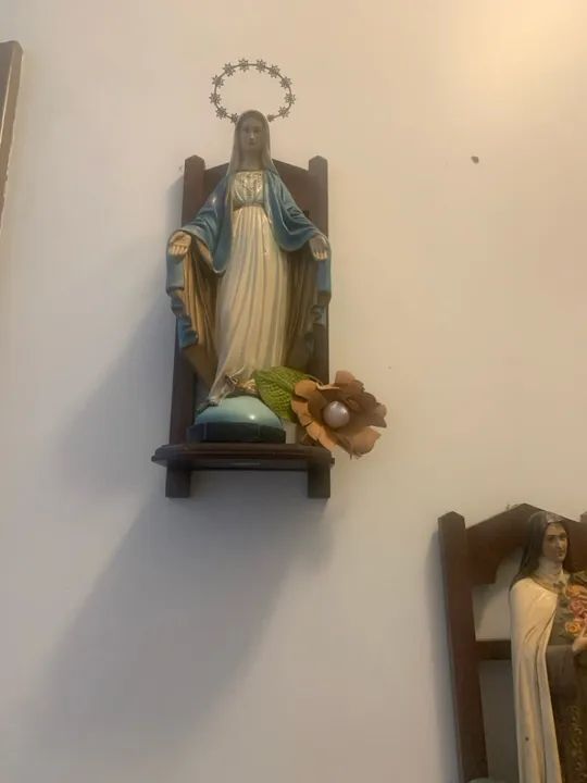 Diversas imagens em seus nichos em madeira . - Foto 3