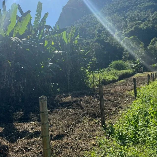 foto - Angra dos Reis - Parque Mambucaba (Mambucaba)