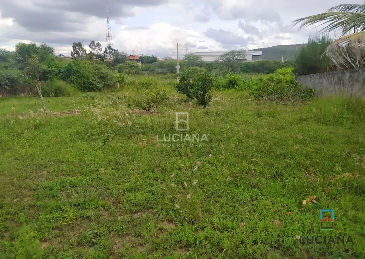 Lotes de 1000m² para venda pertinho da BR-232 e da Via Local - Gravatá/PE - Foto 2