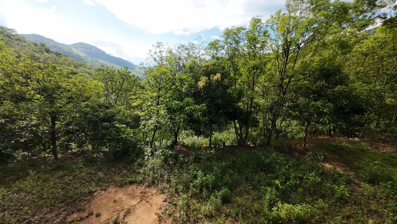 Terreno no Farao de baixo - Cachoeiras de Macacu Rj - Foto 15