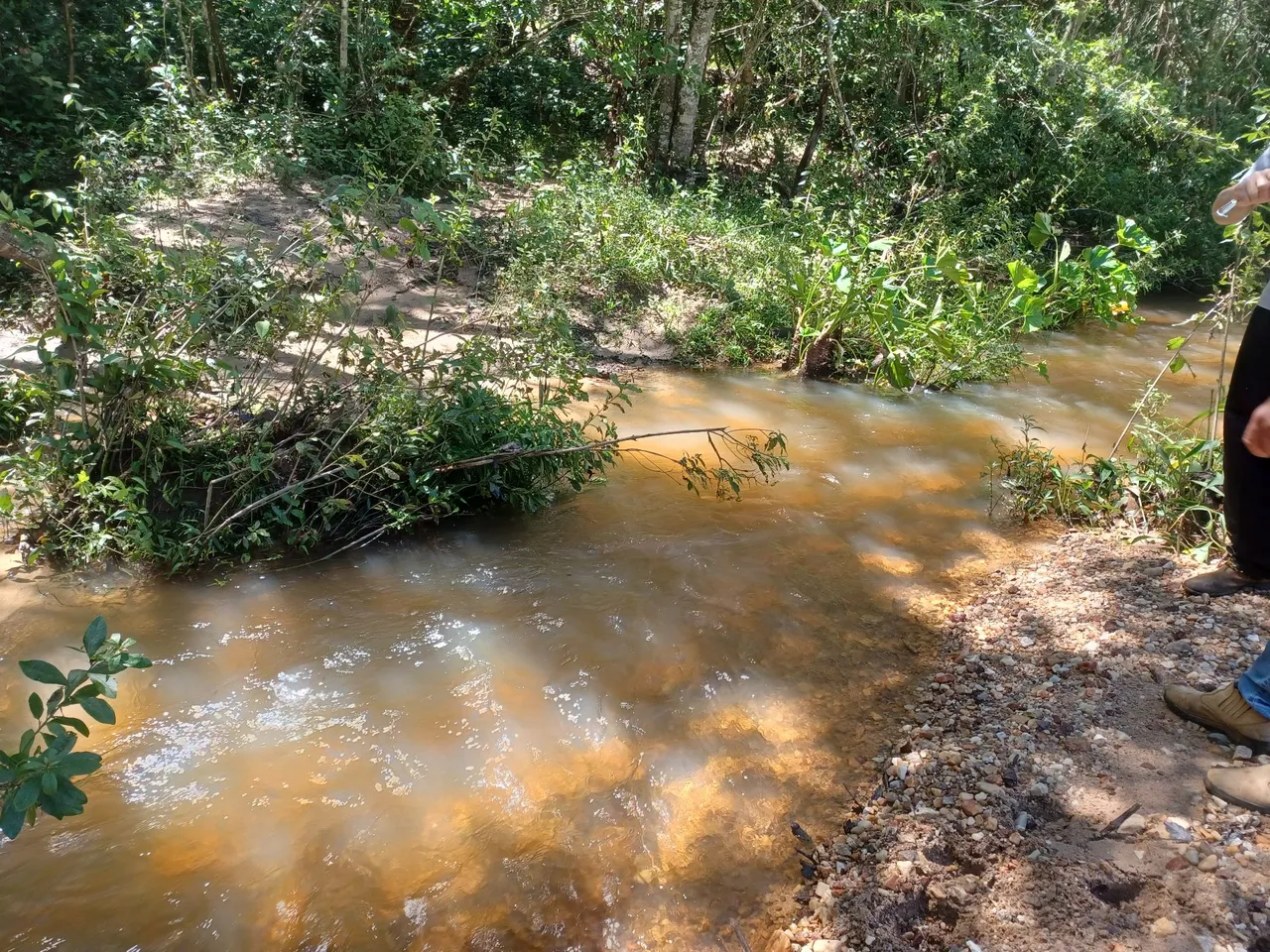 Chácara 45.000mt em aragoiania 02 corrego energia, mata ac veículos so 40km de Goiâniau