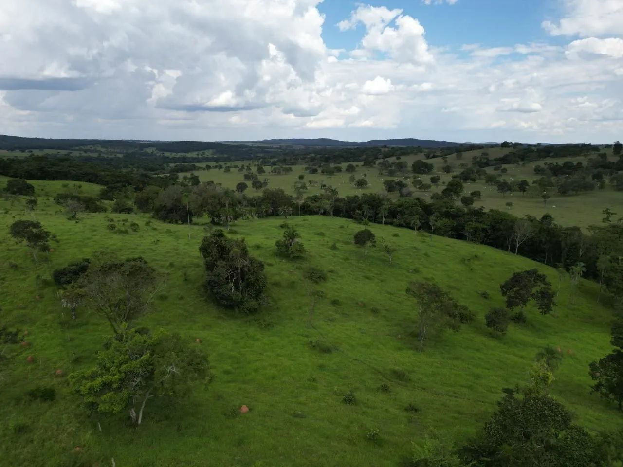 Fazenda 48 Alqueires - Cromínia-Go - Foto 3